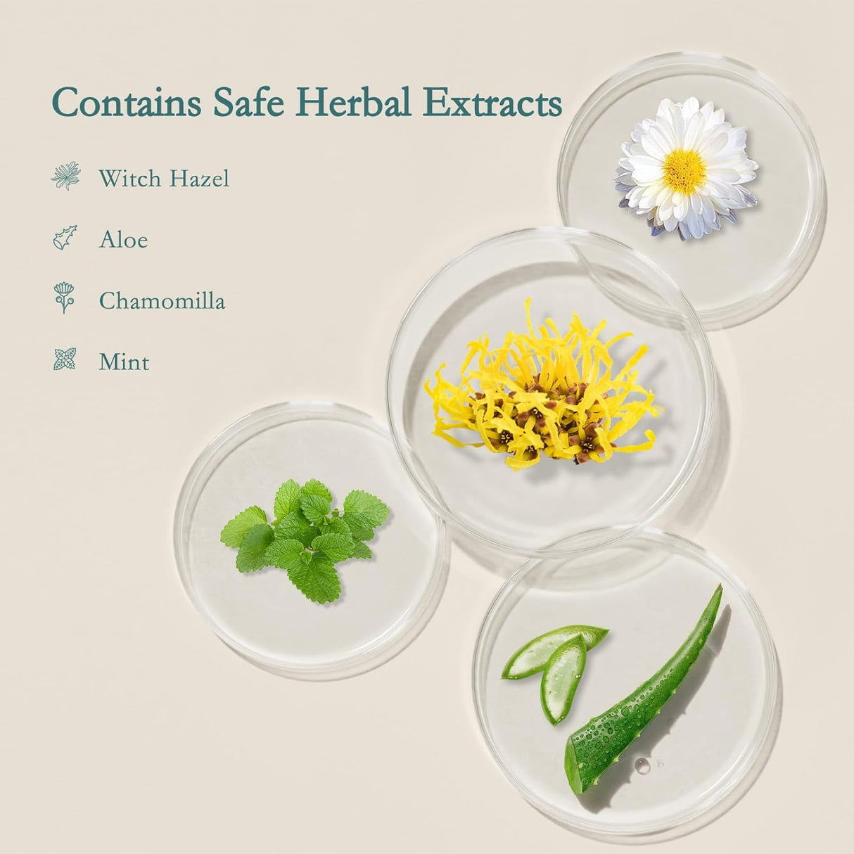 Petri dishes showcasing natural ingredients for GROWNSY Perineal Cooling Spray: Witch Hazel, Aloe, Chamomilla, and Mint.