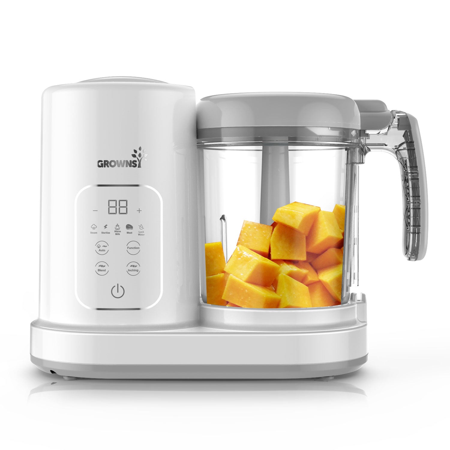 Best Baby Food Makers and blender of 2021 – GROWNSY