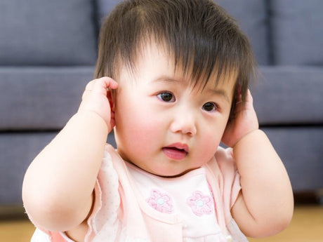 The blender with steaming function makes baby food making comfortable and fun