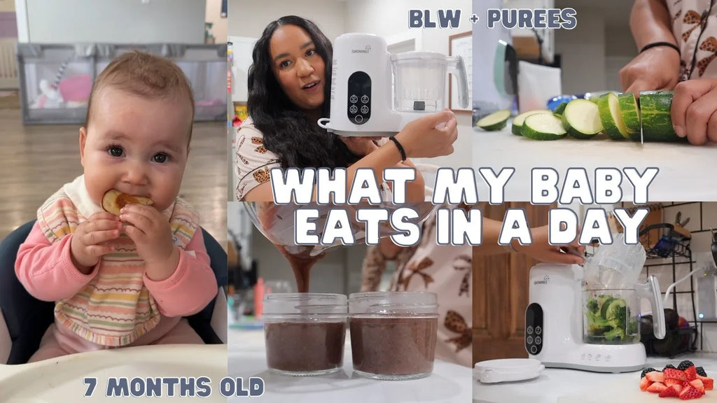Homemade Recipes Using Grownsy Baby Food Maker