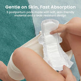15pc Postpartum Essentials Recovery Kit | Postpartum Kit for Women | Includes 5 Postpartum Pads, 5 Disposable Underwear, 2 Ice Packs, Peri Bottle, Perineal Spray & 28 Cooling Pad Liners